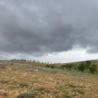 فروش-زمین-700-متری-باغ-رزی-قلات-باغ-ازپس