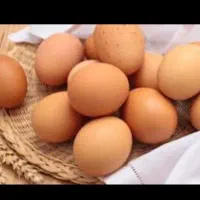 تخم مرغ رسمی