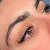 نیازمند مدل میکرو