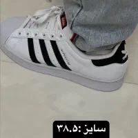 کتانی|کیف، کفش، کمربند|تهران, اباذر|دیوار