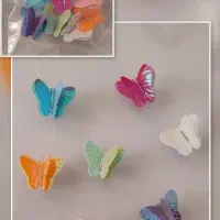 تولید وپخش مگنت پروانه