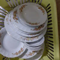 ظروف چینی تم پاییزه