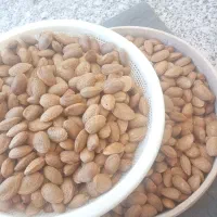 بادام بهدان