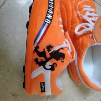 کفش ورزشی|کیف، کفش، کمربند|تهران, باغ فیض|دیوار