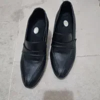 پوتین مجلسی وکفش زنانه|کیف، کفش، کمربند|الوند, |دیوار