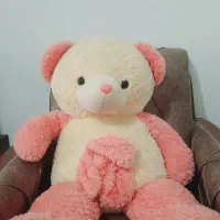 خرس بزرگ
