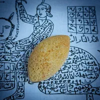 مهره اصل اصل  گارانتی۲۴ساعت|بدلیجات|بوکان, |دیوار