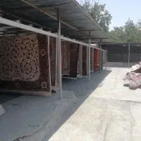 قالیشویی افق قدس