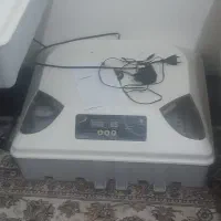 دستگاه جوجه کشی داتیکس