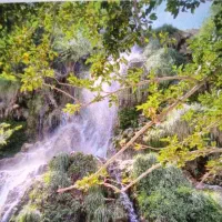 زمین ۳۰۰ متری شهرک فرهنگیان