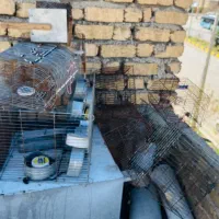 تعدادی قفس پرنده