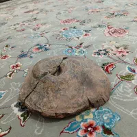 سنگ پریان یا سنگ چشم کلکسیونی