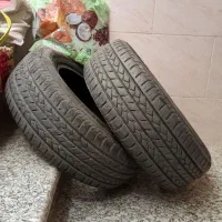 لاستیک بارز