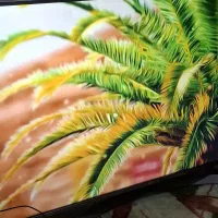 تلوزیون ال جی ۴۹ این اصلی