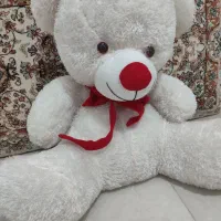 عروسک|اسباب‌بازی بچه|سنندج, |دیوار