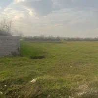 زمین مسکونی شالی با نامه بنیاد مسکن