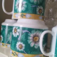 شش عدد فنجان