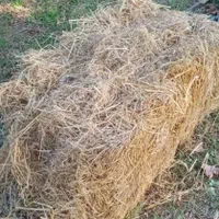 کاه کولش