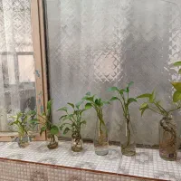 خونه ۱۲۰ متری اجاره ای خیابان مدنی|اجارهٔ خانه و ویلا|قم, وادی السلام|دیوار