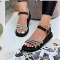 صندل حراجی آخر فصل به قیمت