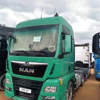 کشنده اروپایی مان لیزینگی