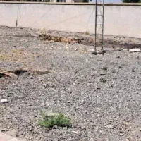 زمین تجاری جنب تامین اجتماعی