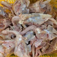 اسکلت مرغ   غذای سگ|لوازم جانبی حیوانات|کرج, ملک‌آباد|دیوار