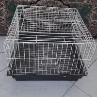 قفس خرگوش|موش و خرگوش|مشهد, عامل|دیوار