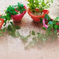 وسایل تزیینی