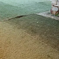 چمن مصنوعی دست دوم|مصالح و تجهیزات ساختمان|سنندج, |دیوار