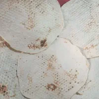 شاطر