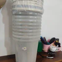 سطل تقریبا ده کیلو  دونه آیی هشتاد تومان