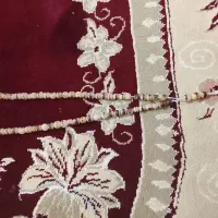 تسبیح هسته خرما