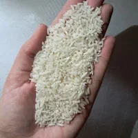 برنج لاشه هاشمی امساله(همون باب خانه)