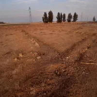 زمین ۱۵۰ متری