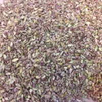 مغز|خوردنی و آشامیدنی|تهران, خانی‌آباد|دیوار