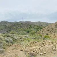 زمین فروشی سرپشت (دهبکری)