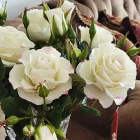 گلهای دست ساز منعطف چینی|گل مصنوعی|تهران, کوهک|دیوار