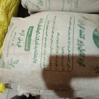 فروش کود زیر کشت