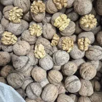گردو درجه یک و پوست کاغذی