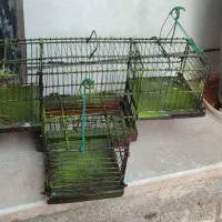 قفس سهره|لوازم جانبی حیوانات|تربت جام, میان جام|دیوار