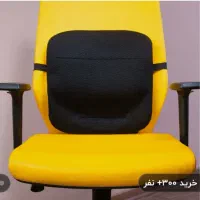 پشتی طبی باراد مدل LS1 قیمت 1200000