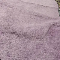 فرش|موکت|ساوه, |دیوار