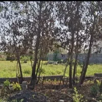 زمین-زراعی