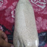 بذر خوارکی دارویی برا کاشت