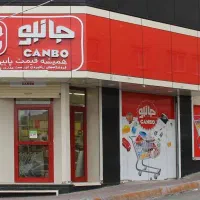 استخدام راننده پایه یک و دوم|استخدام حمل و نقل|تبریز, |دیوار