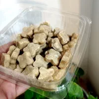 قند زنجبیلی