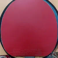 رویه evolution mxp