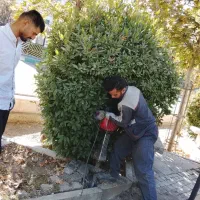 کارگر ساده ساختمانی|استخدام معماری، عمران و ساختمانی|خرم‌آباد, |دیوار