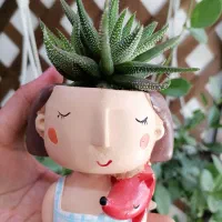 انواع گلدان فانتزی و گل آپارتمانی|گل و گیاه طبیعی|کرمان, |دیوار